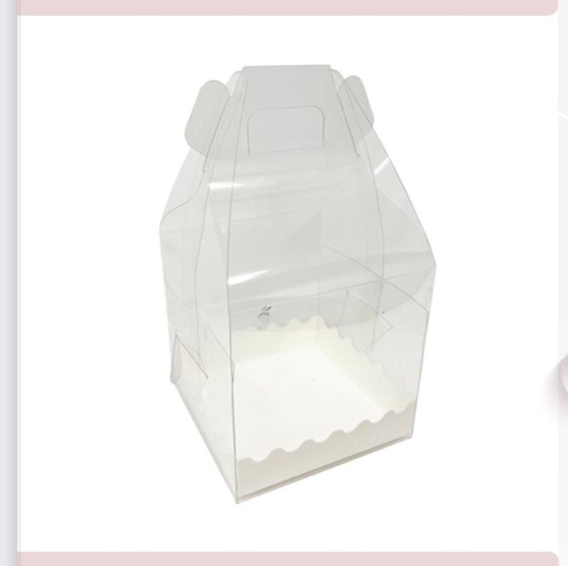 CAJA DE ACETATO - 13X13X12 CM